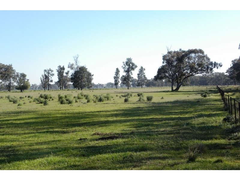 119 Bland Estate Road, Young NSW 2594