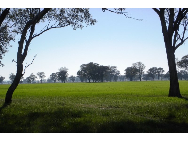 119 Bland Estate Road, Young NSW 2594