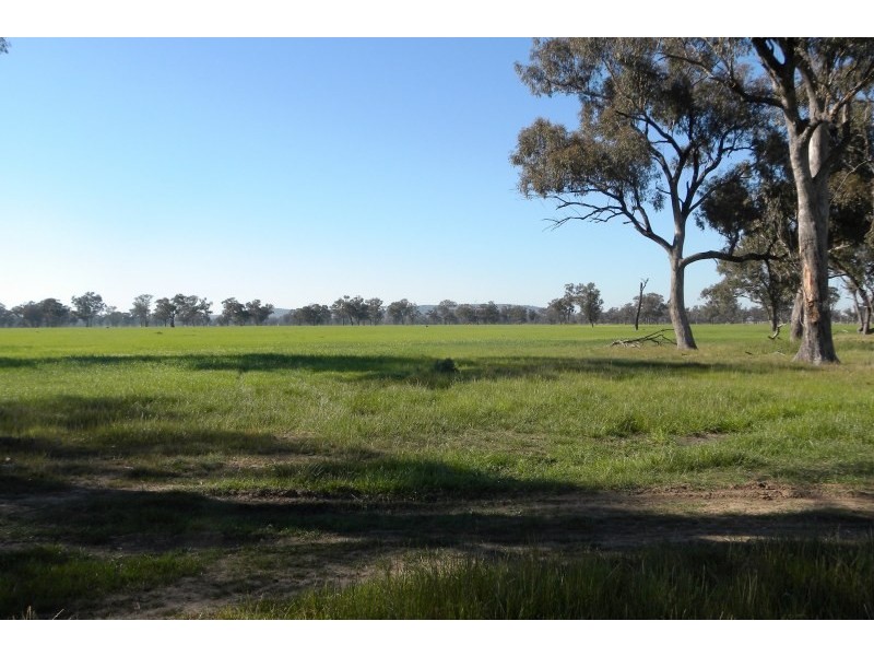 119 Bland Estate Road, Young NSW 2594