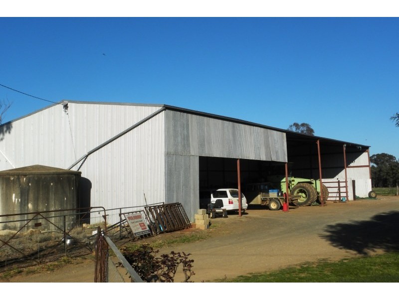 265 Peels Lane, Young NSW 2594