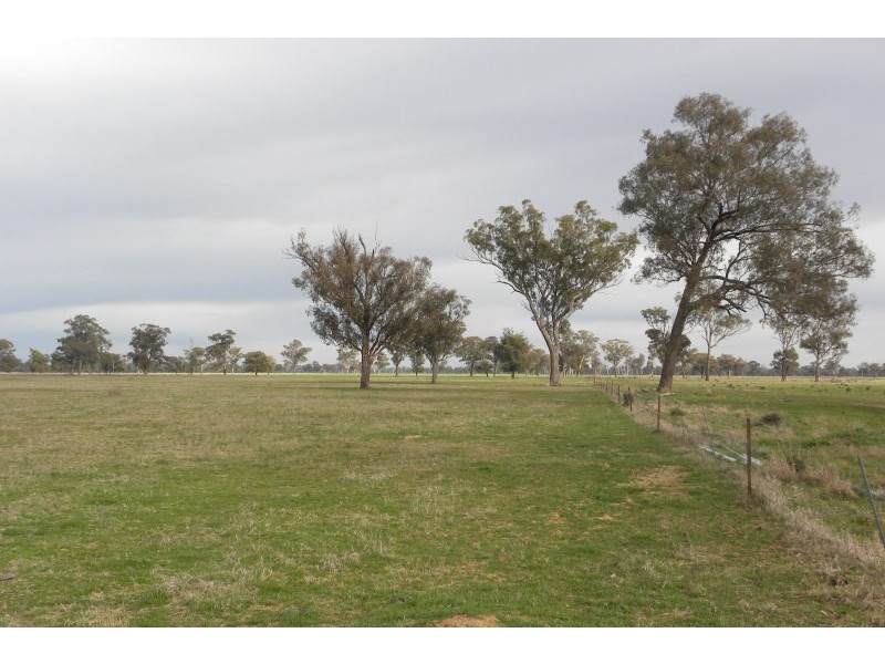 265 Peels Lane, Young NSW 2594