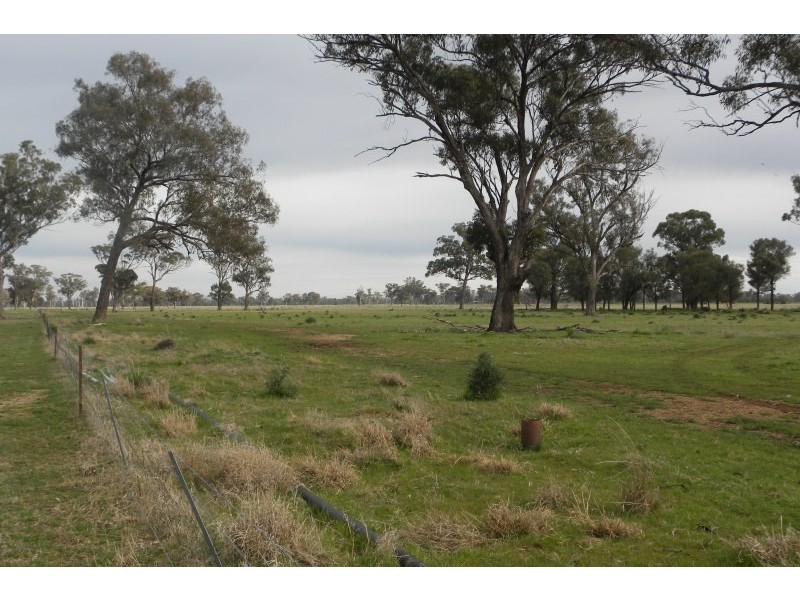 265 Peels Lane, Young NSW 2594