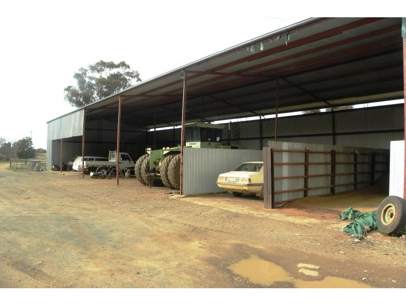 265 Peels Lane, Young NSW 2594