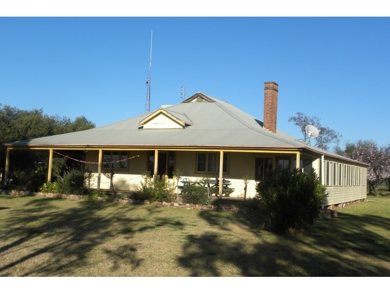 265 Peels Lane, Young NSW 2594