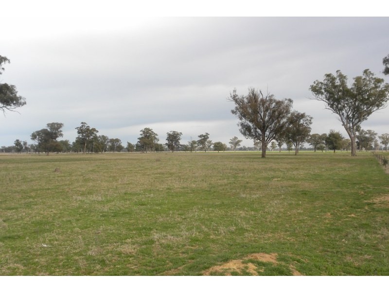 265 Peels Lane, Young NSW 2594