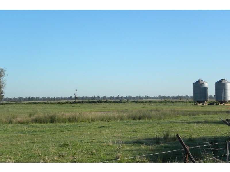 265 Peels Lane, Young NSW 2594