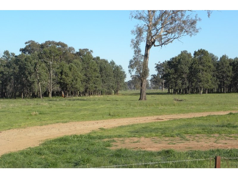 265 Peels Lane, Young NSW 2594