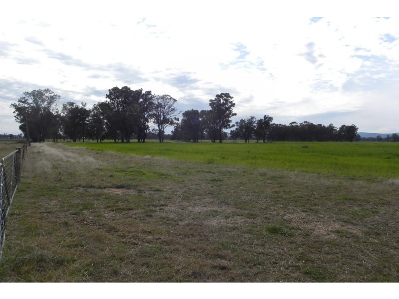 1199 Driftway Road, Quandialla NSW 2721