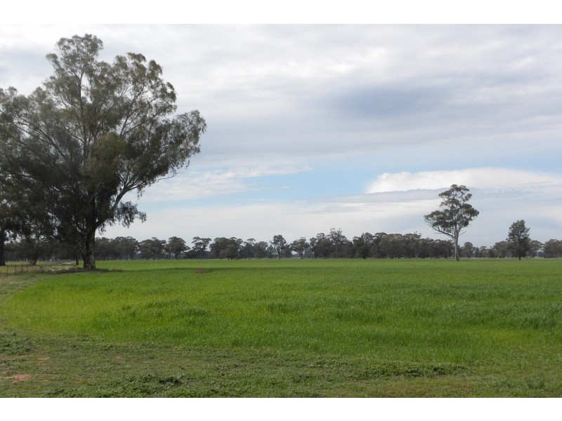 1199 Driftway Road, Quandialla NSW 2721