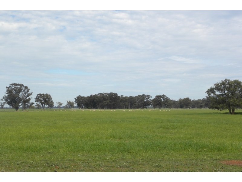 1199 Driftway Road, Quandialla NSW 2721