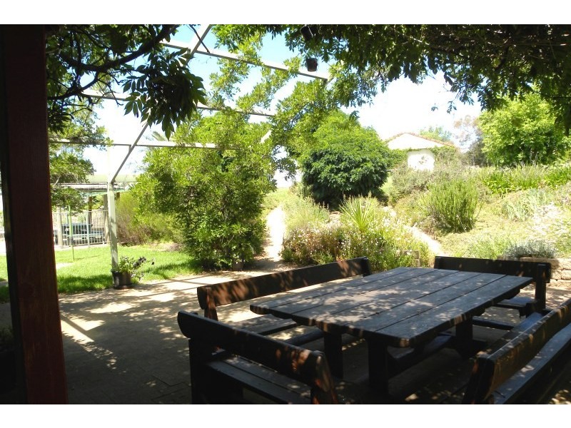 147 Willawong Street, Young NSW 2594