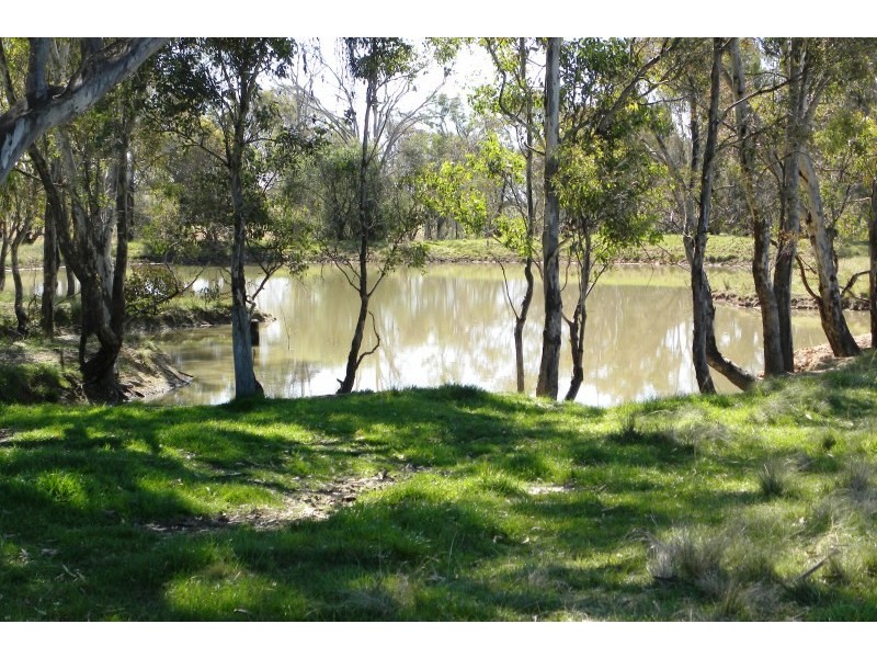 987 Scenic Road, Young NSW 2594