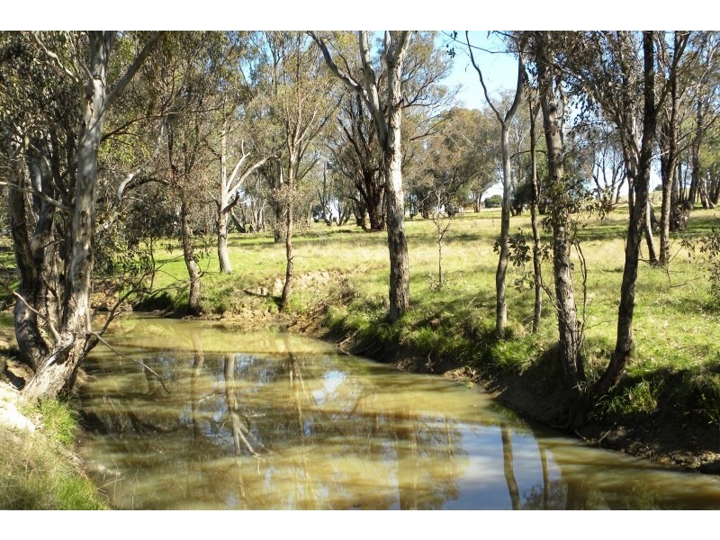 987 Scenic Road, Young NSW 2594