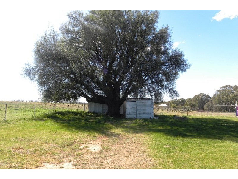 987 Scenic Road, Young NSW 2594