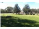 987 Scenic Road, Young NSW 2594