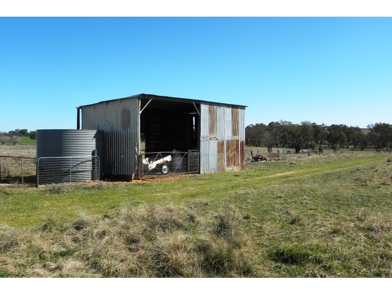 987 Scenic Road, Young NSW 2594
