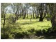 987 Scenic Road, Young NSW 2594