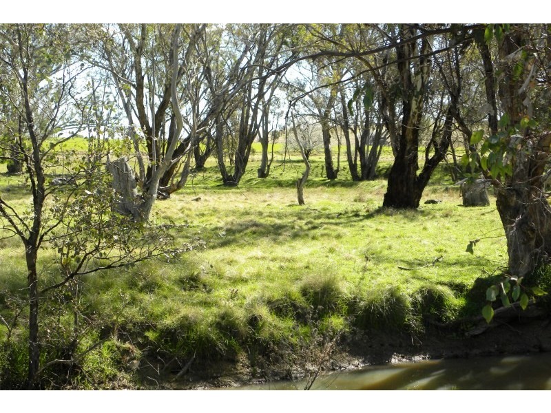 987 Scenic Road, Young NSW 2594