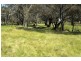 987 Scenic Road, Young NSW 2594