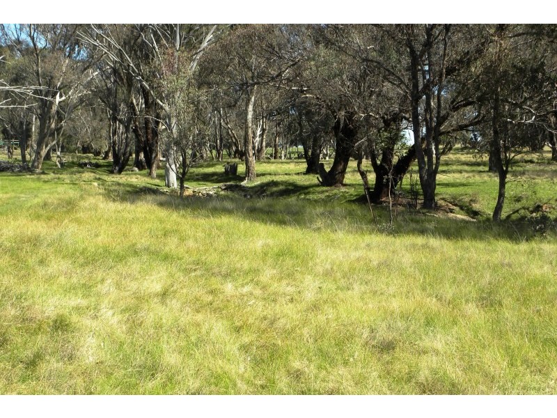 987 Scenic Road, Young NSW 2594