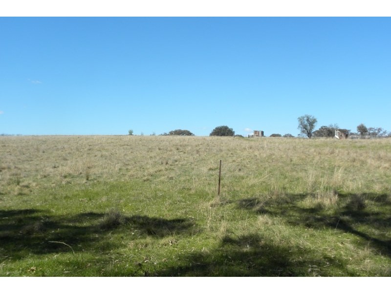 987 Scenic Road, Young NSW 2594