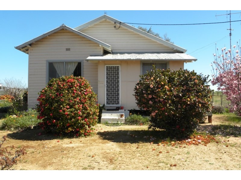 987 Scenic Road, Young NSW 2594