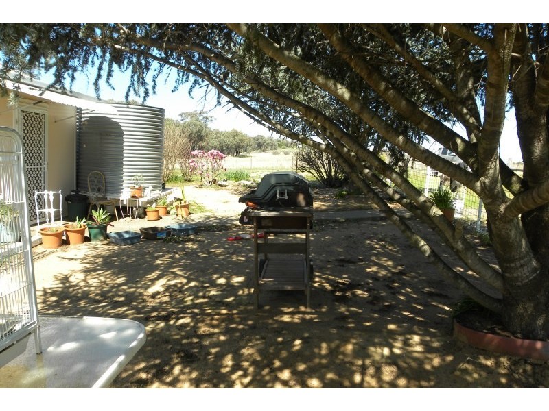 987 Scenic Road, Young NSW 2594