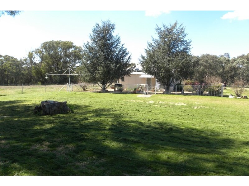 987 Scenic Road, Young NSW 2594