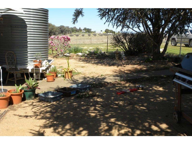 987 Scenic Road, Young NSW 2594
