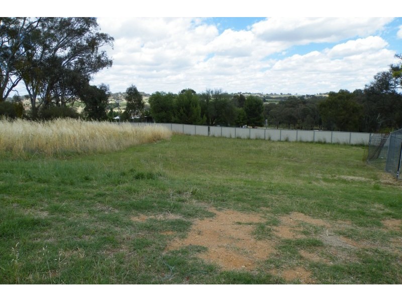 16 Henry Place, Young NSW 2594