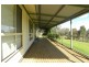 219 Pattersons Lane, Young NSW 2594