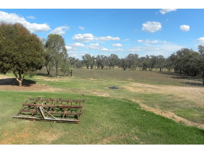 219 Pattersons Lane, Young NSW 2594