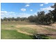 219 Pattersons Lane, Young NSW 2594