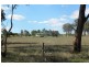 219 Pattersons Lane, Young NSW 2594