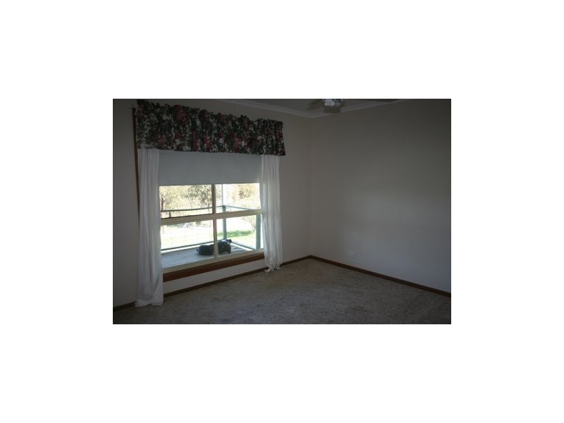 219 Pattersons Lane, Young NSW 2594
