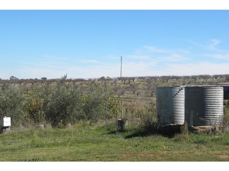 3845 Olympic Way Highway, Young NSW 2594