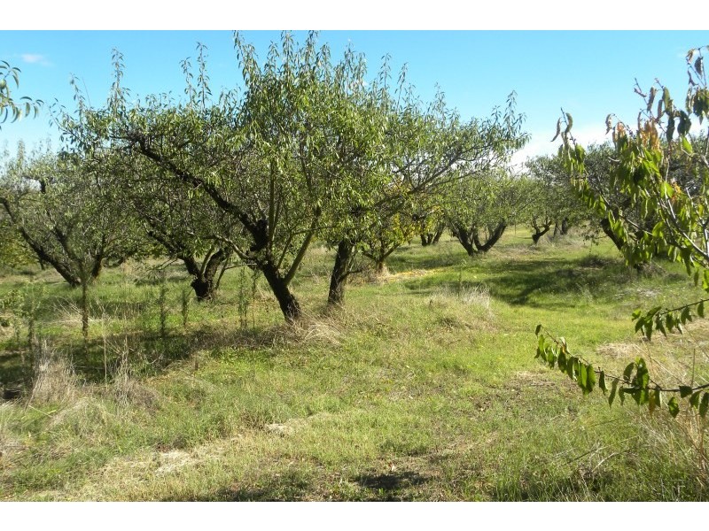 3845 Olympic Way Highway, Young NSW 2594