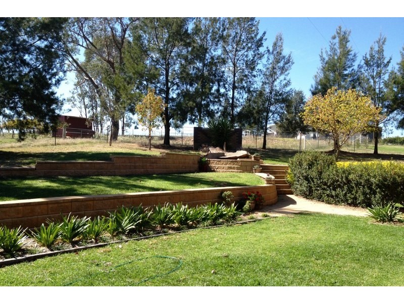 4116 Murringo Road, Young NSW 2594