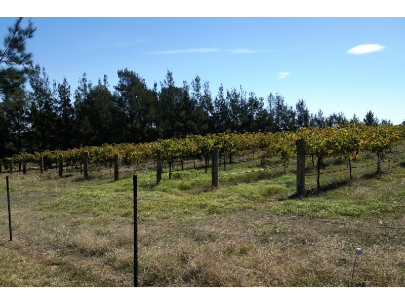 4116 Murringo Road, Young NSW 2594