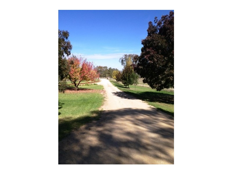 4116 Murringo Road, Young NSW 2594