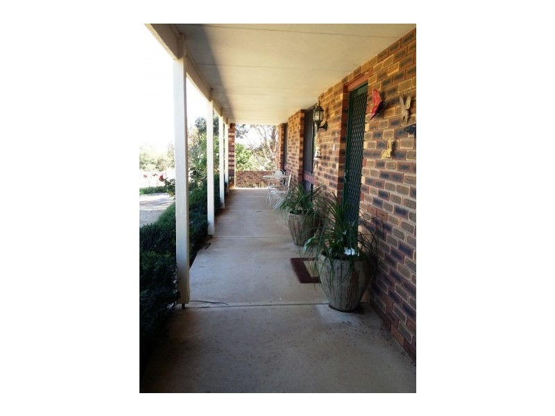 4116 Murringo Road, Young NSW 2594