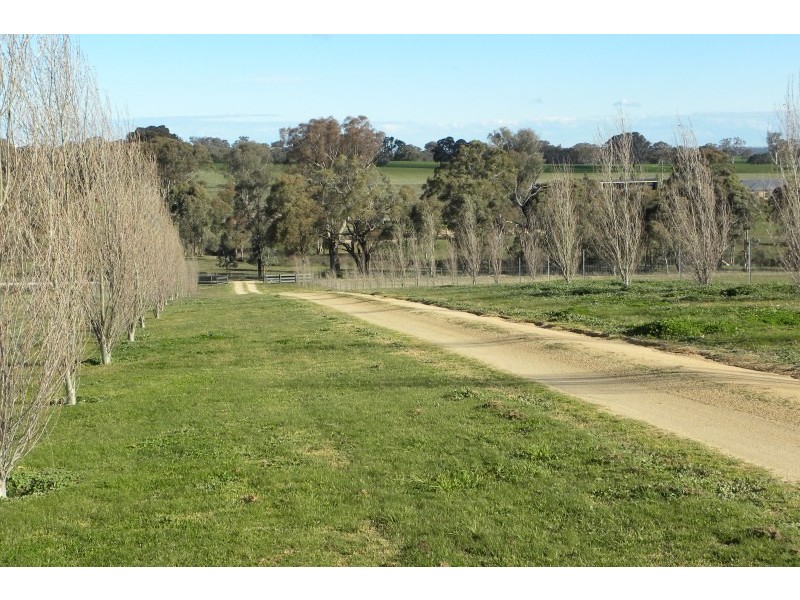 1 Bonnington Road, Young NSW 2594