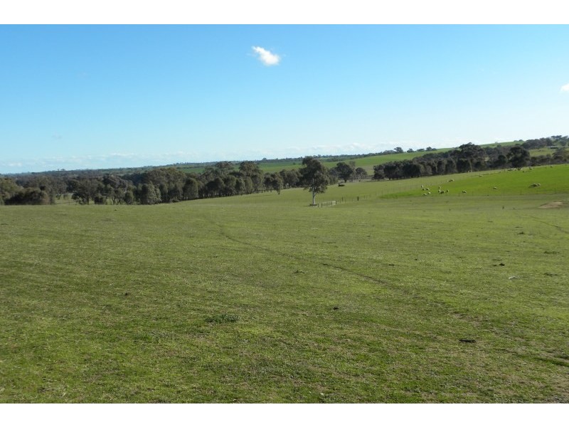 1 Bonnington Road, Young NSW 2594