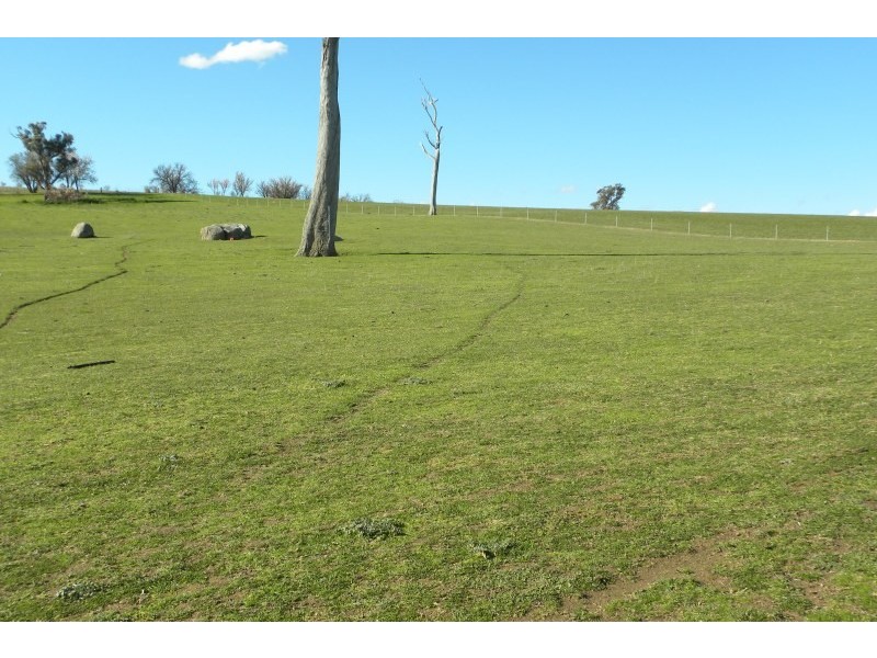 1 Bonnington Road, Young NSW 2594