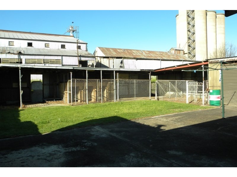 172 Nasmyth Street, Young NSW 2594