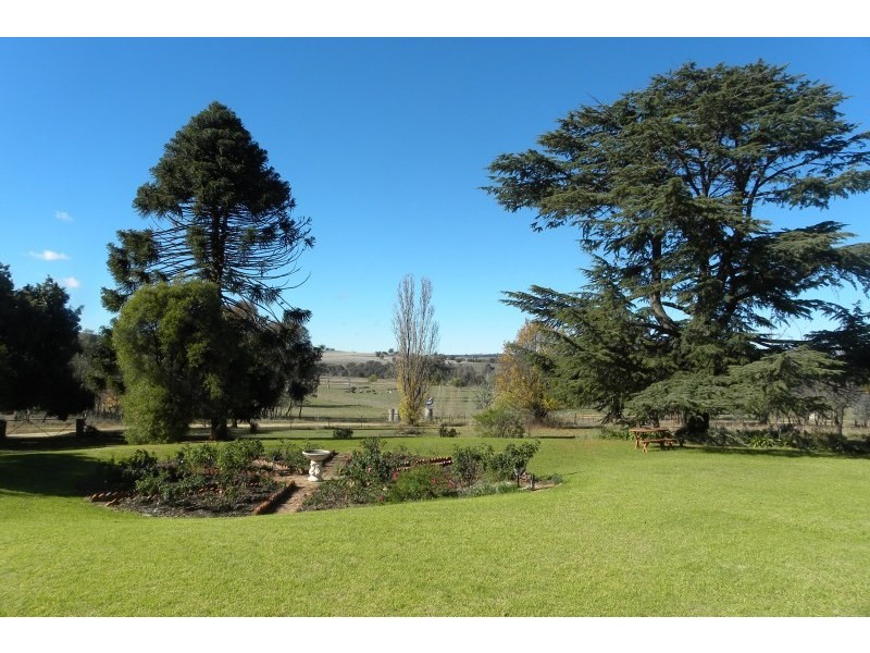 40 Tout Place, Young NSW 2594