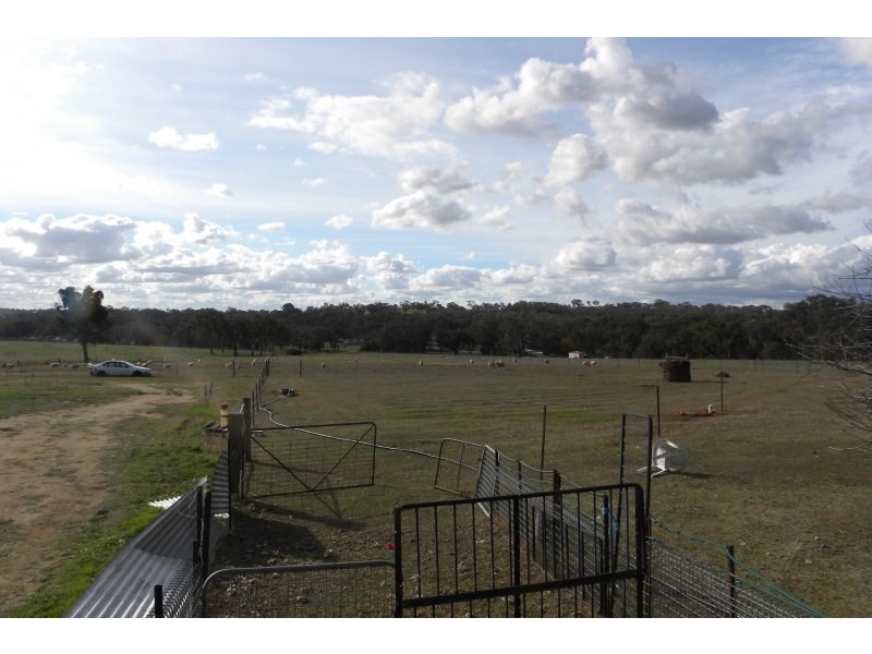 21 Pitstone Lane, Young NSW 2594