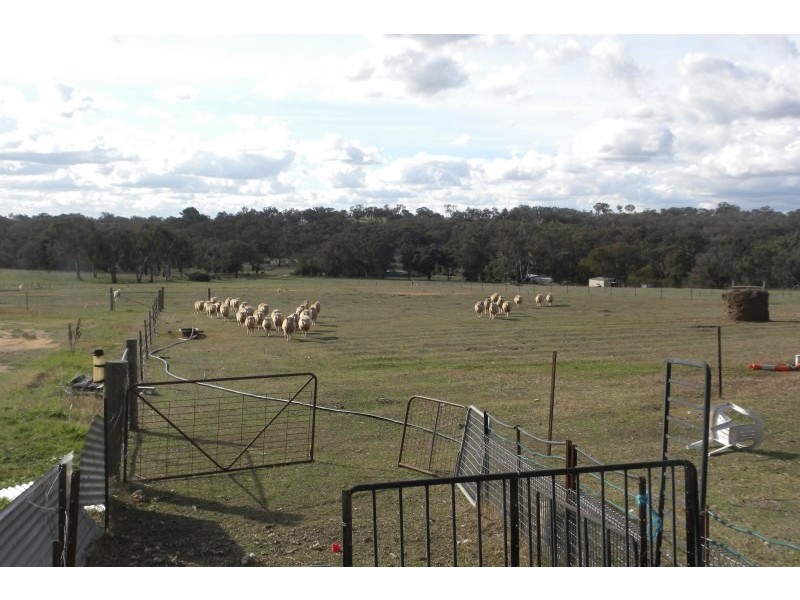 21 Pitstone Lane, Young NSW 2594