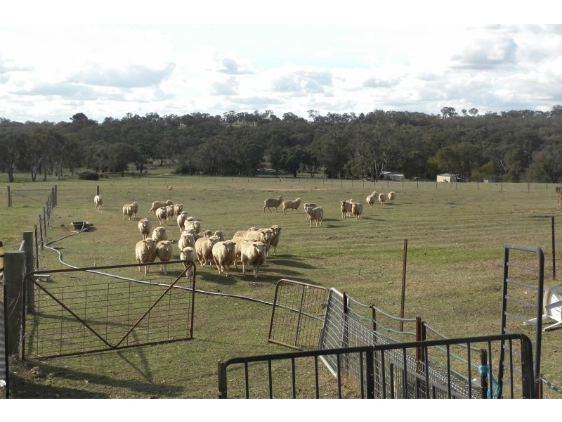 21 Pitstone Lane, Young NSW 2594