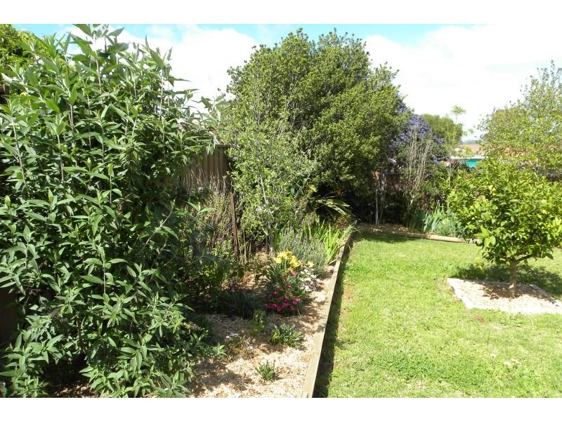 27 Mcnarry Place, Young NSW 2594